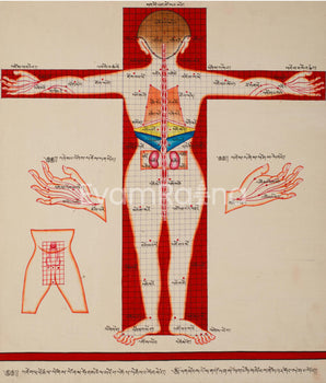 Human Body Anatomy Thangka Art