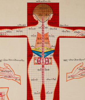 Human Body Anatomy Thangka Art | Tibetan Buddhism