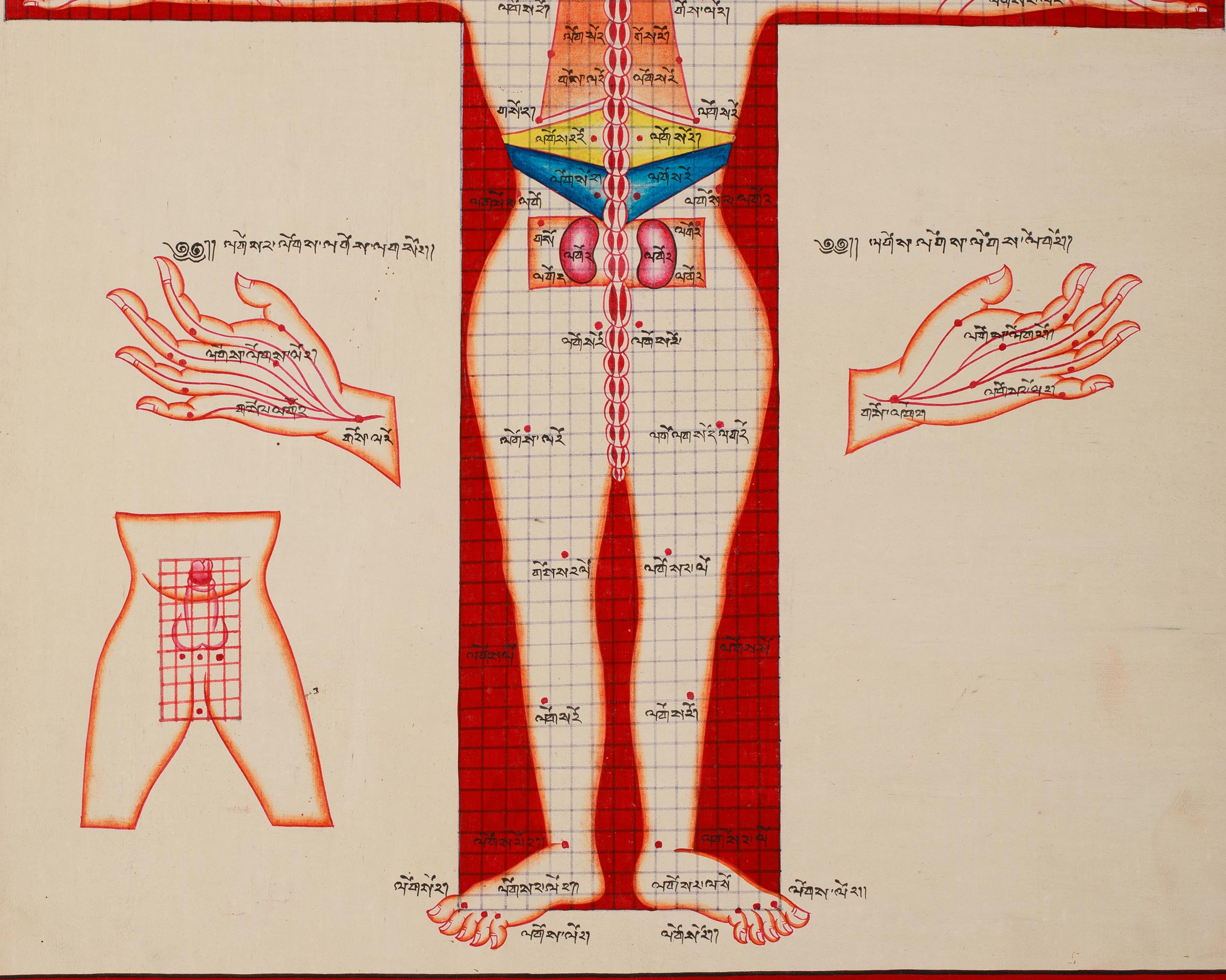 Human Body Anatomy Thangka Art | Tibetan Buddhism