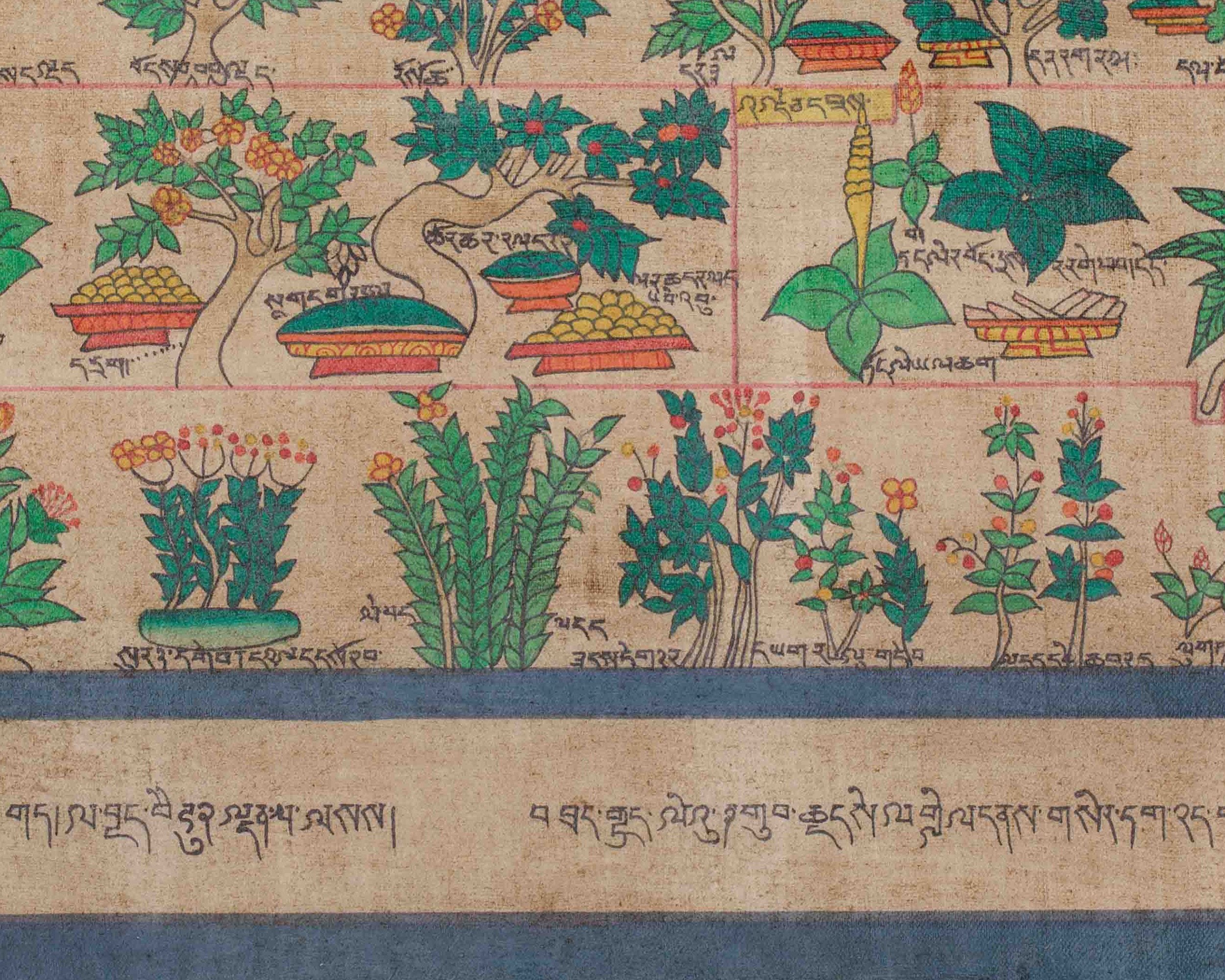 Himalayan Medical Plants Thangka | Symbolizing Natural Medicine, Spiritual Wellness, and Herbal Protection | Nature's Sacred Gifts