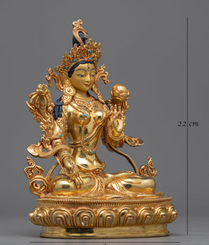 Arya Dolkar Statue | Embodying Grace and Compassion