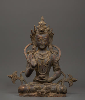 amogasiddhi