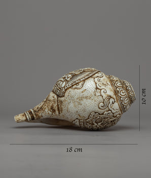 White Tara Sankha | Sacred Conch of Compassion & Healing