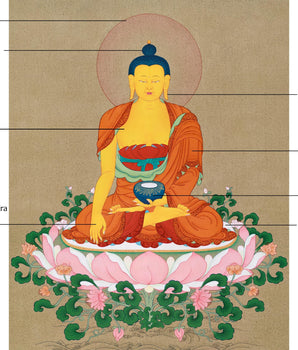 Enlightened Shakyamuni Buddha Thangka Painting | Hand-painted in Enlightenment Studio