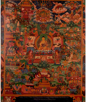 Life Story Of Buddha