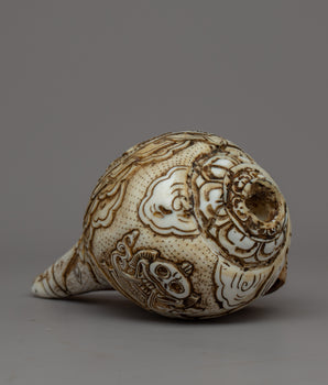 Handcarved Conch Shell Sankha
