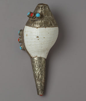 Natural Conch Sankha