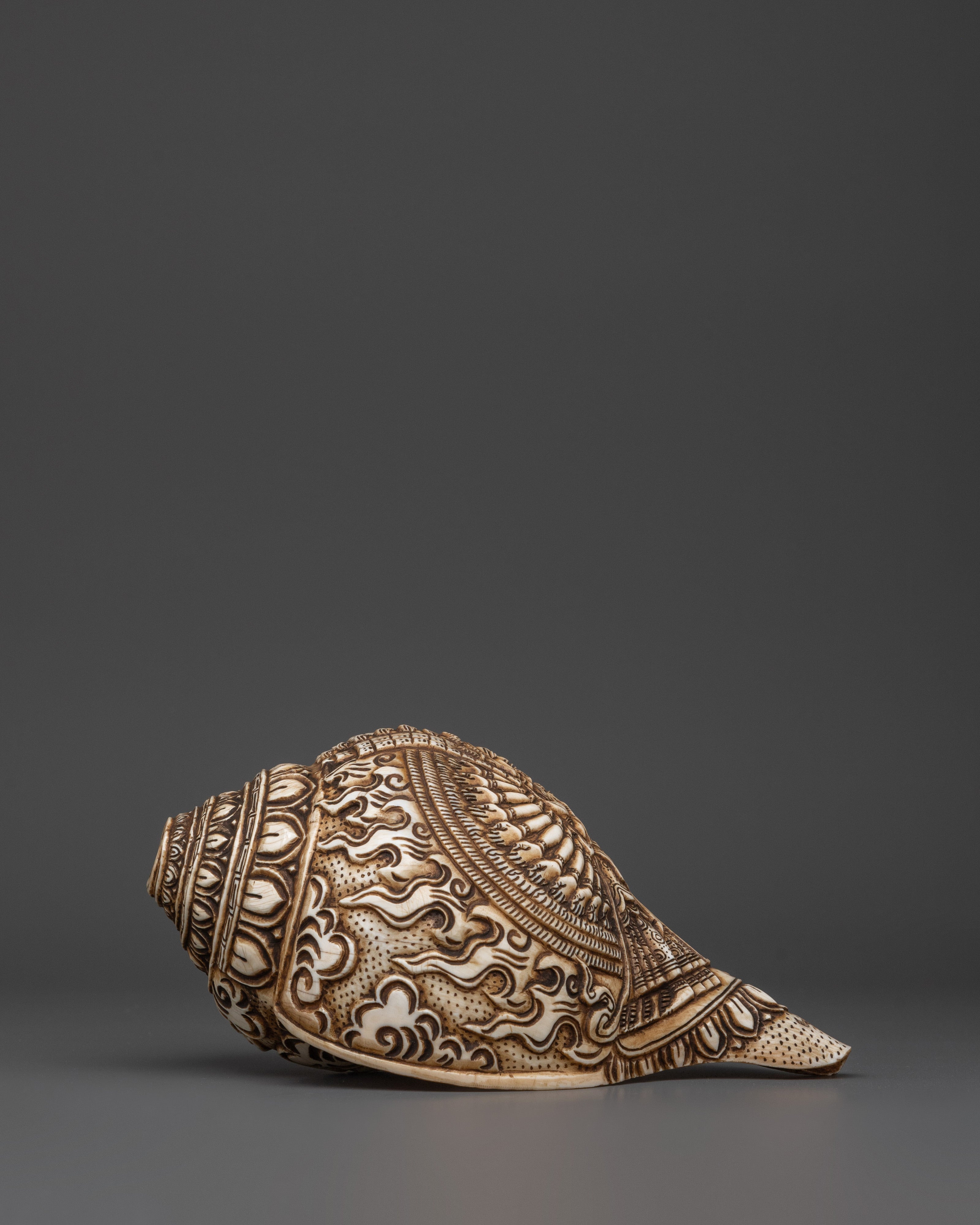 Conch Por Meditation | Meditation and Spiritual Practices