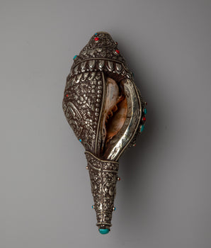 Wheel of Life Conch Shell 