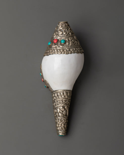 Tibetan Sacred Ritual Item Conch Shell | Handcrafted Shankha for Rituals and Ceremonies