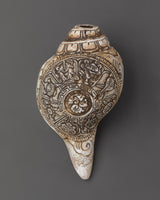 himalayan-ritual-conch