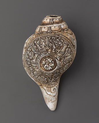himalayan-ritual-conch