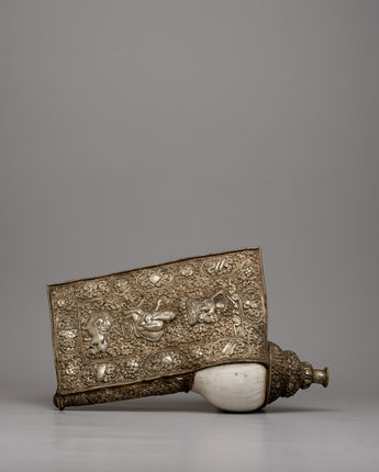 Conch Shell Trumpet