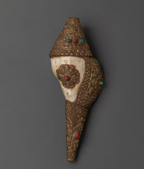 Puja conch shell
