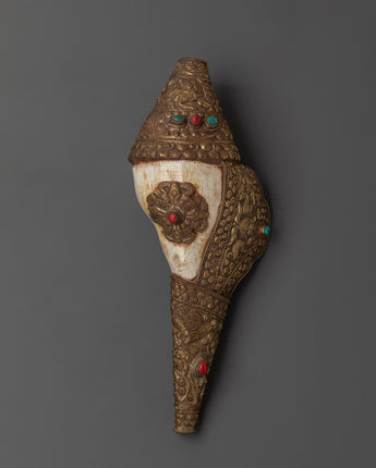 Puja conch shell
