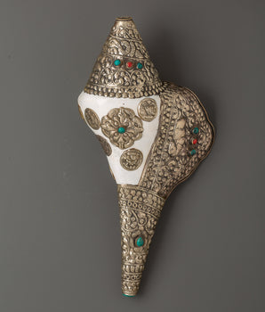 tibetan-conch-for-rituals