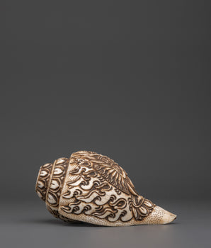 healing-conch