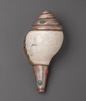 conch-spiritual-tool