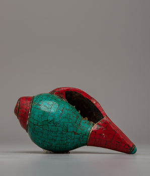 Shankh Musical Instrument 