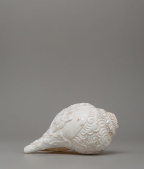 religious-tibetan-conch-shell