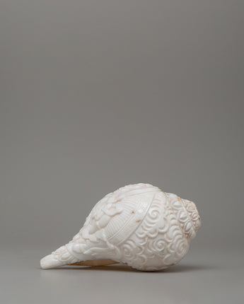 religious-tibetan-conch-shell