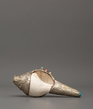 conch-symbol-of-sound-and-spirituality