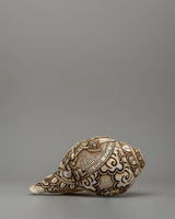 conch-with-white-tara-carvings