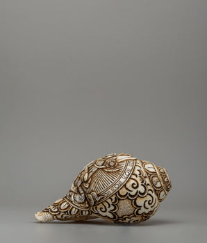 conch-with-white-tara-carvings