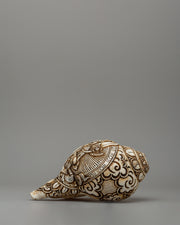 conch-with-white-tara-carvings