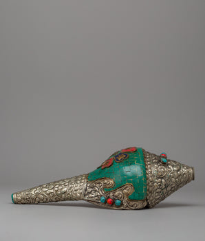 turquoise-conch