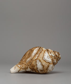 conch-shell-sankha-for-shrine