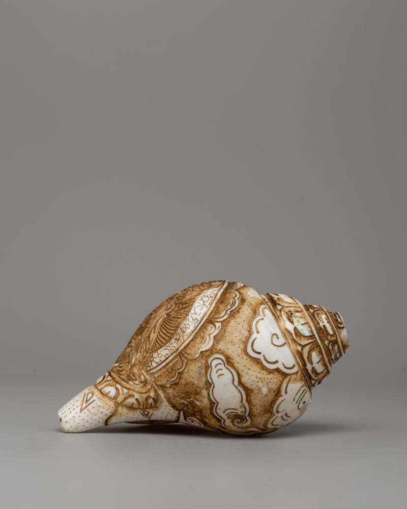 conch-shell-sankha-for-shrine