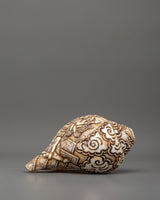 Kali Mata Carved Conch 