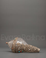 Tibetan Conch Shell 
