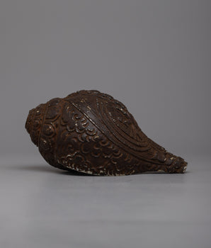 Conch Shell Sankha
