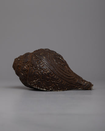 Conch Shell Sankha 
