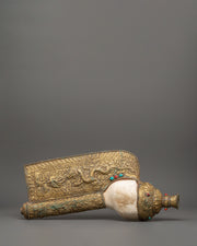 traditional-conch