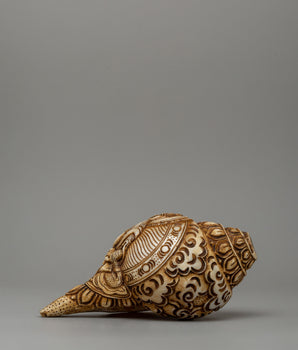 conch-with-buddha-carvings