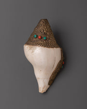 Himalayan Conch Shell 