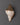Himalayan Conch Shell 