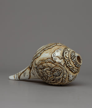 Buddha Shankha Conch Shell 