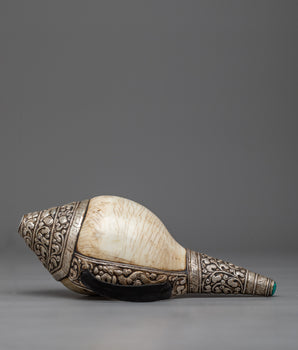 Concha Shell