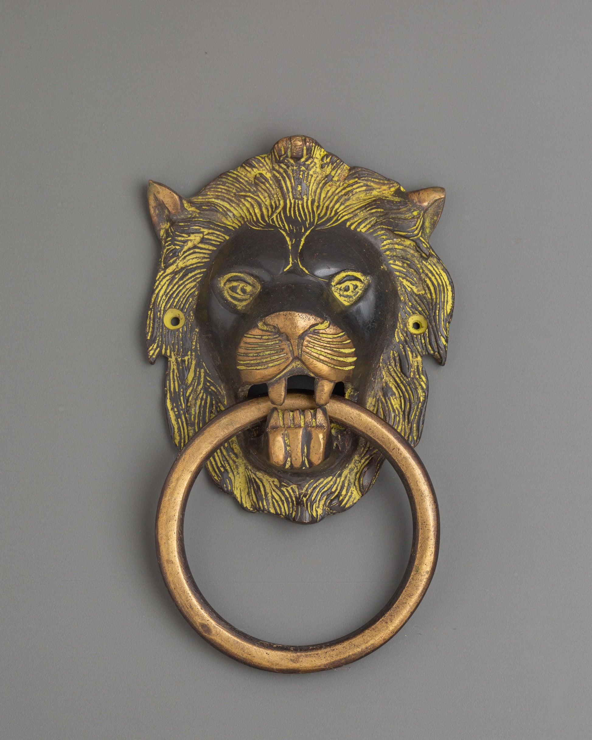 Protective Lion Head Door Knocker