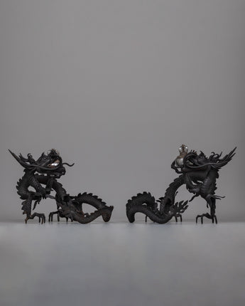 Dragon Set 