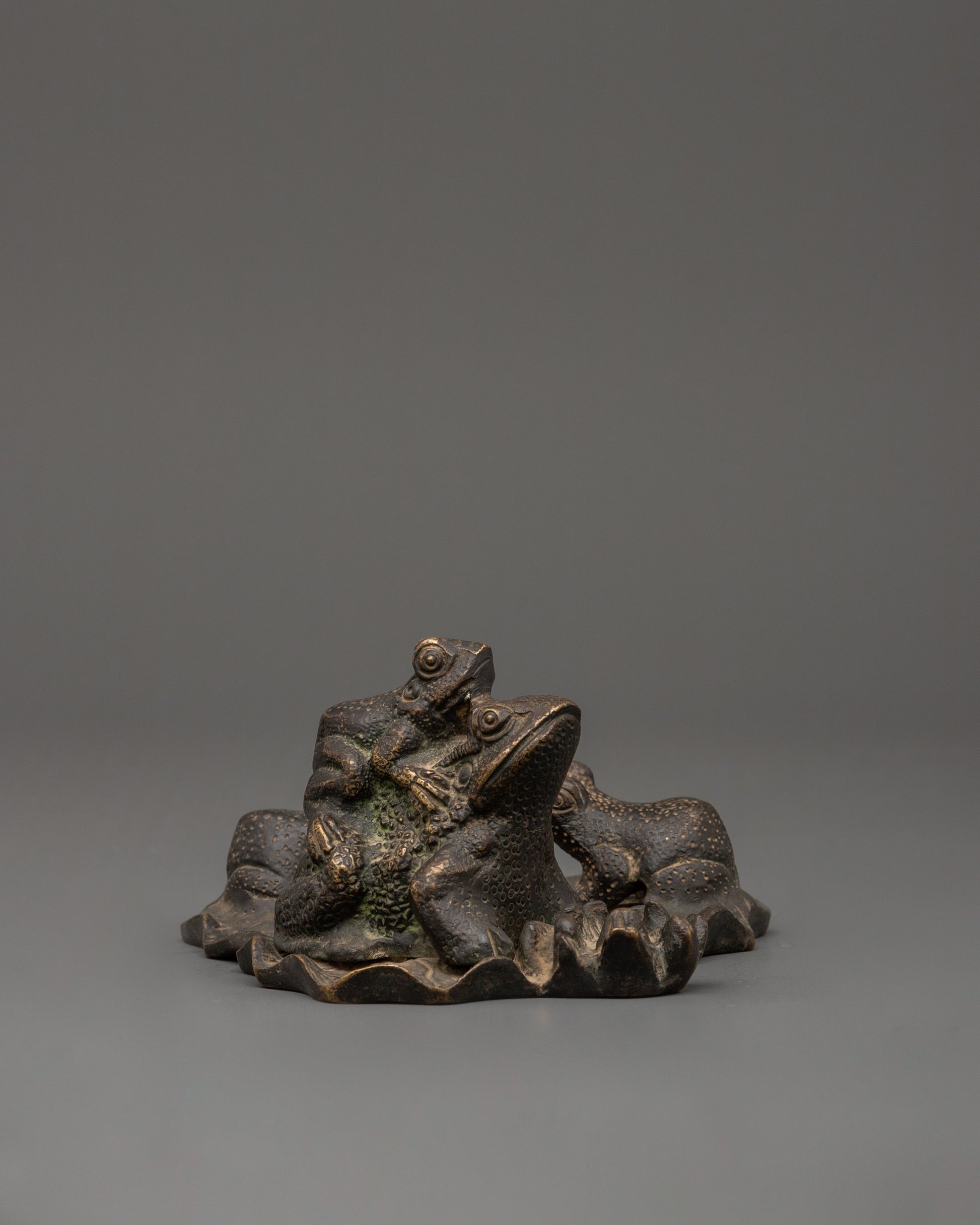 frog