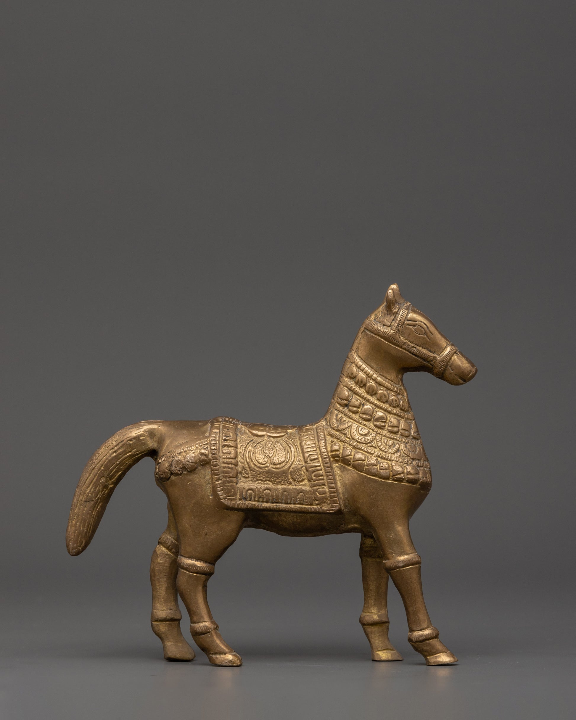horse