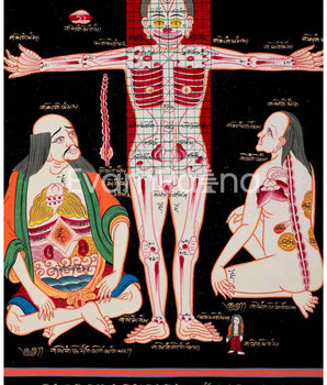Human Anatomy Thangka | Anatomy Wall Arts | Wall Hanging For Biology | Thangka Painting | Antique Asian Arts | Tibetan Thangka Painting