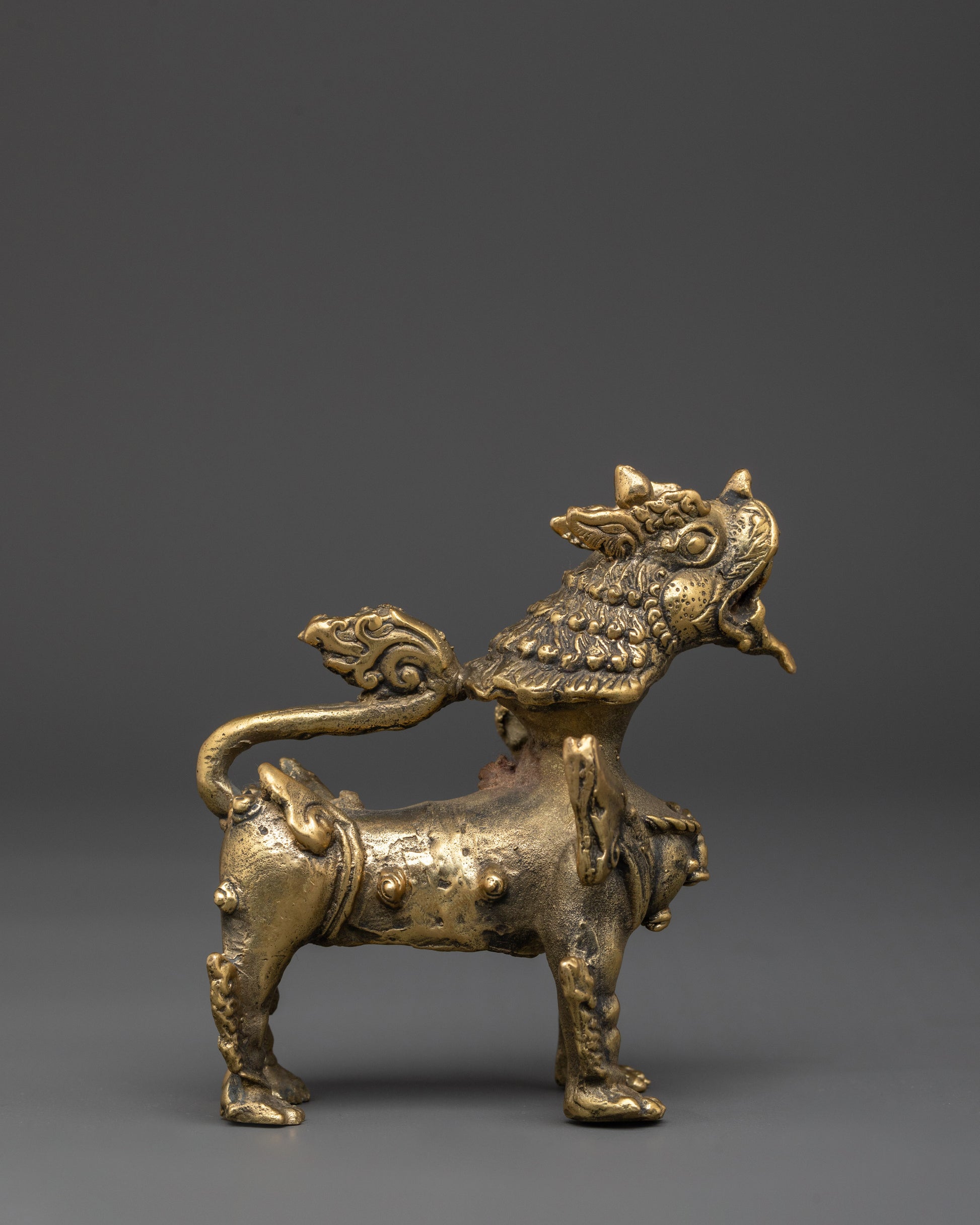 lion