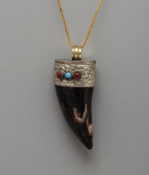 Tibetan Goat Horn Amulet Locket