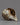 Green Tara Cronch Shell |